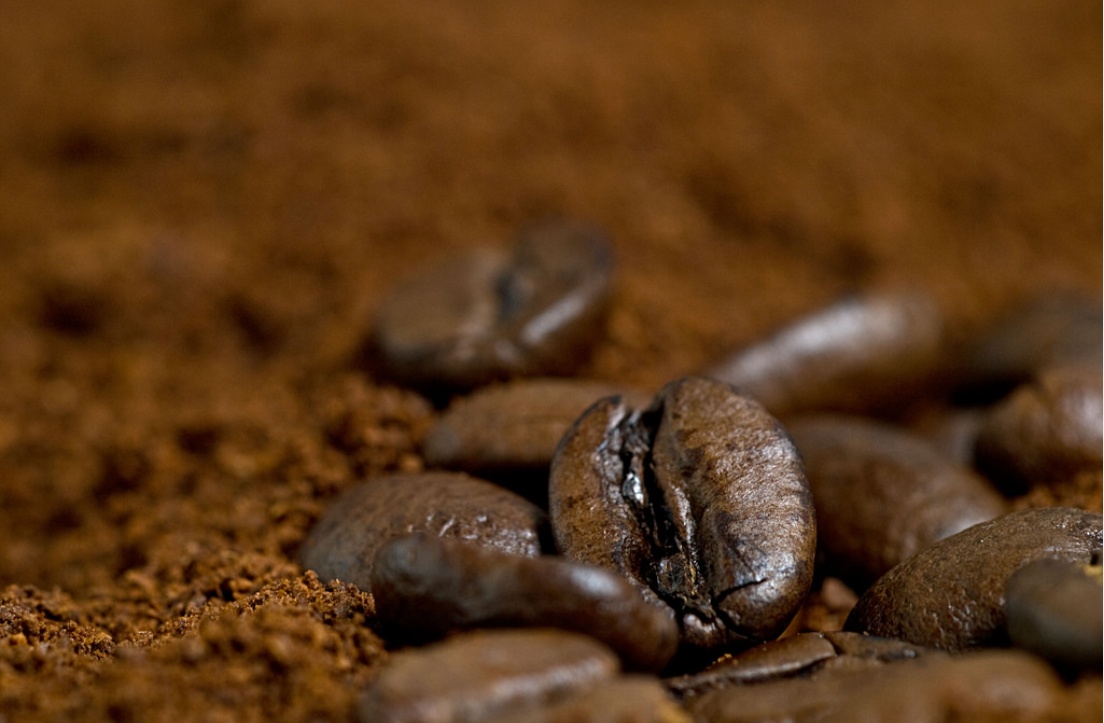 Coffee Production Is Threatened by Climate Change